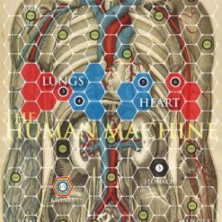 AoS Team Age Of Steam: Human Body/Synapses Board Games