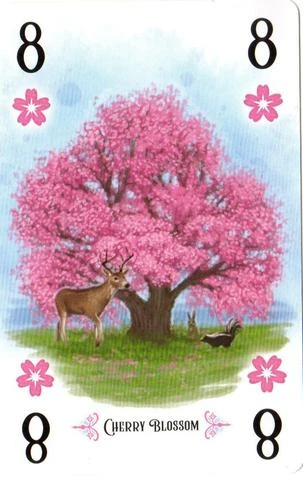 Renegade Game Studios Arboretum: Alternate Art Cherry Blossom Card Board Games 1 Renegade Game Studios Arboretum: Alternate Art Cherry Blossom Card Board Games