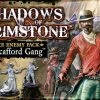 Flying Frog Productions Shadows Of Brimstone: The Scafford Gang Deluxe Enemy Pack Board Games