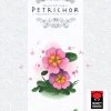 APE Games Petrichor: Flowers Board Games