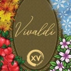 XVgames Board Games Vivaldi (Import)