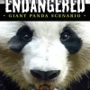 Grand Gamers Guild Board Games Endangered: Giant Panda Module