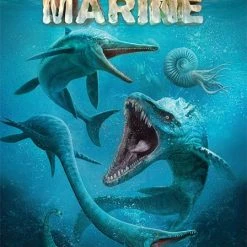 GMT Games Dominant Species: Marine Board Games