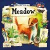 Asmodee Board Games Meadow