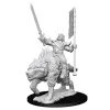 WizKids Games Pathfinder Battles: Deep Cuts - Orc On Dire Wolf Board Games